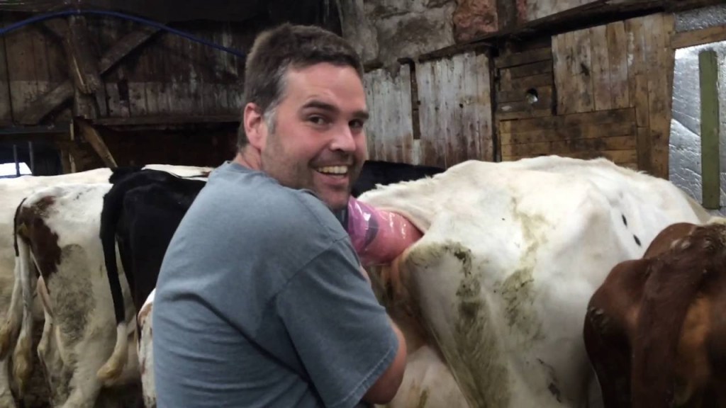 Veganos devem evitar termos como estupro, assassinato e escravidão no seu&nbsp;ativismo?