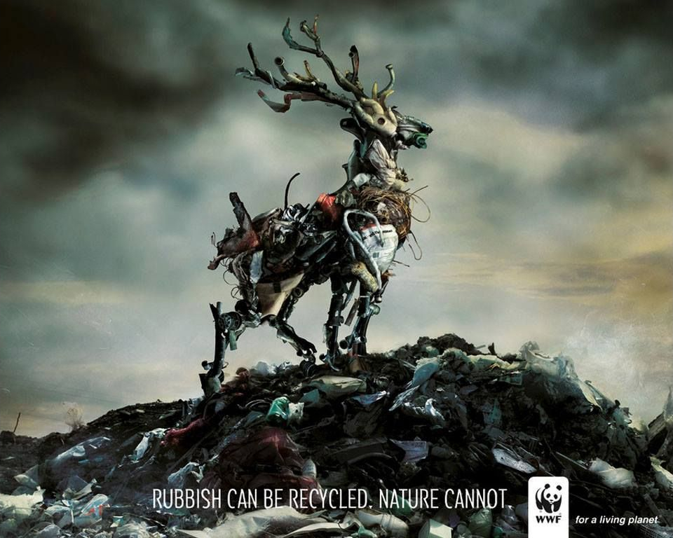 a9a9570a8d81b22f5dd116489e40e338