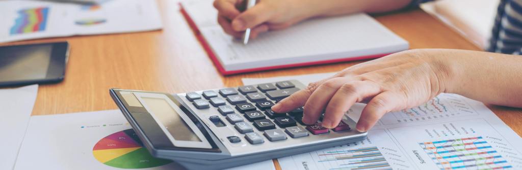 Aprovado em comissão PL que permite dedução do Imposto de Renda à PJ que doar para entidades de proteção&nbsp;animal